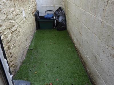 Picture 7